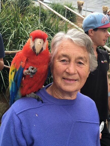 Bird World Sunshine Coast has many Macaws