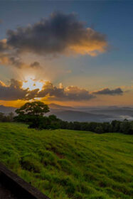 Tranquil Sunshine Coast