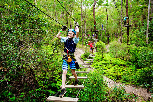 Big Pineapple TreeTops ropes course