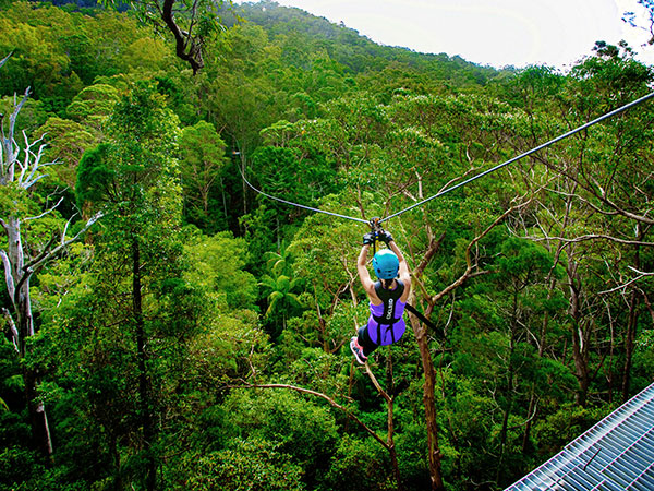 TreeTop Canopy at Big Pineapple 