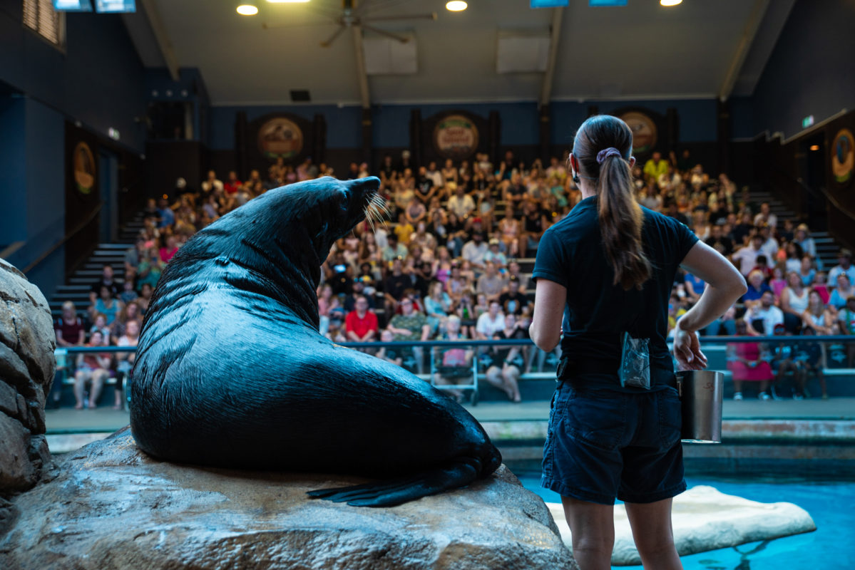 Sea life sunshine coast