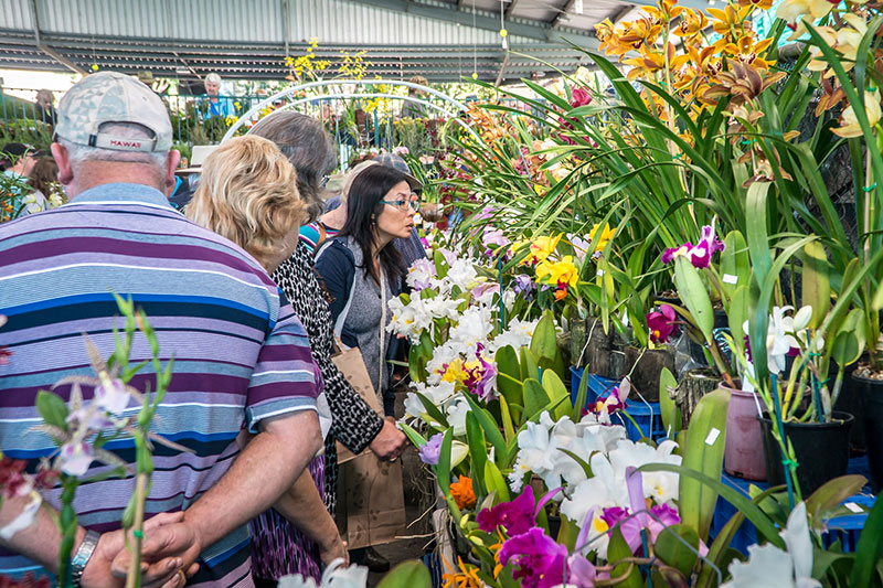 Nambour Garden Expo