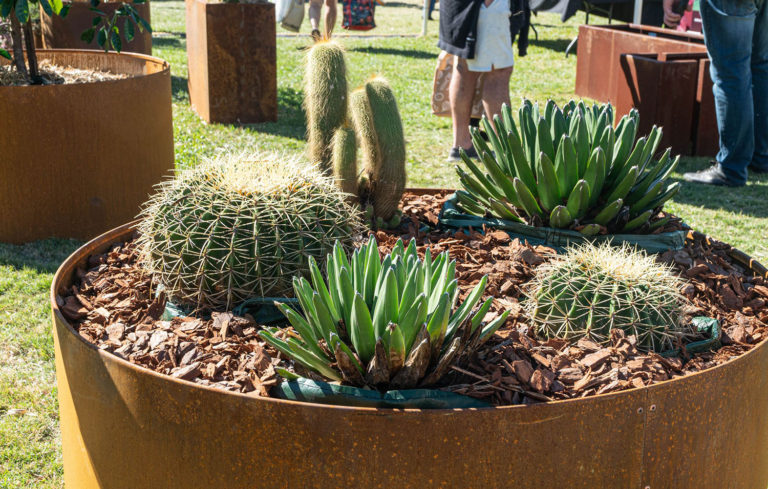 Blossoming Beauty: The Nambour Garden Expo