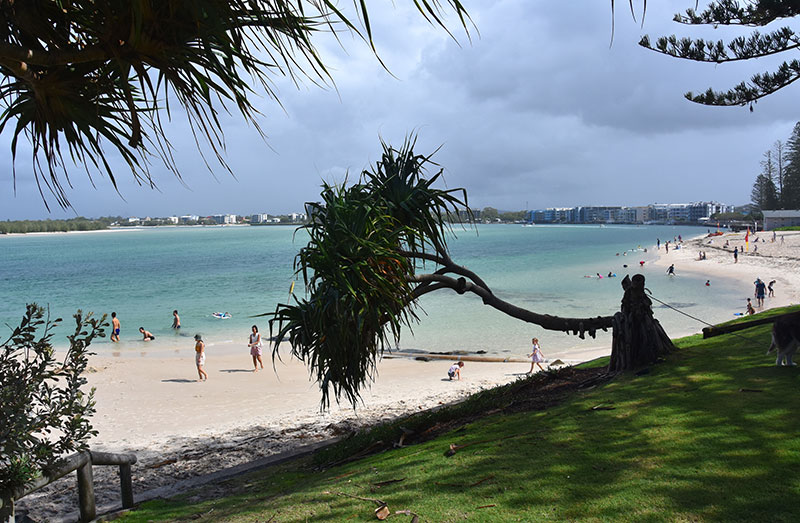 Bulcock Beach Sunshine Coast